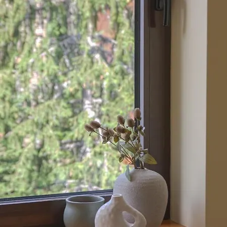 Deno アパート ボロヴェッツ