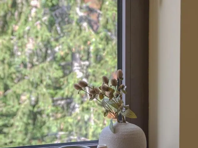 Deno 아파트 보로베츠